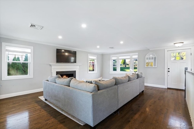 living room with dark hardwood / wood-style floors and crown molding