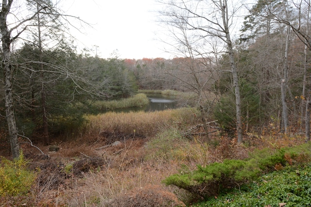 view of nature with a water view