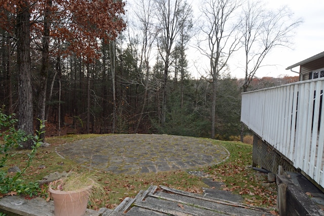 view of yard featuring a patio area