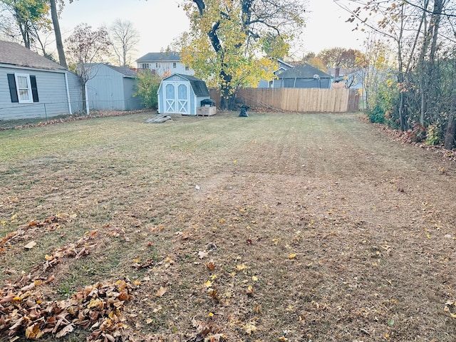 view of yard featuring a shed