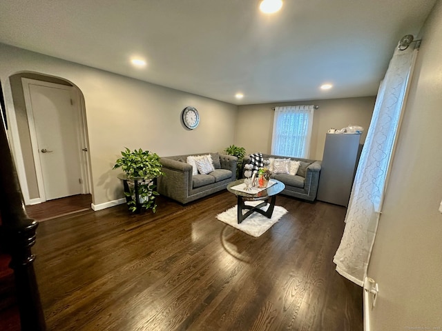 living room featuring dark wood-type flooring