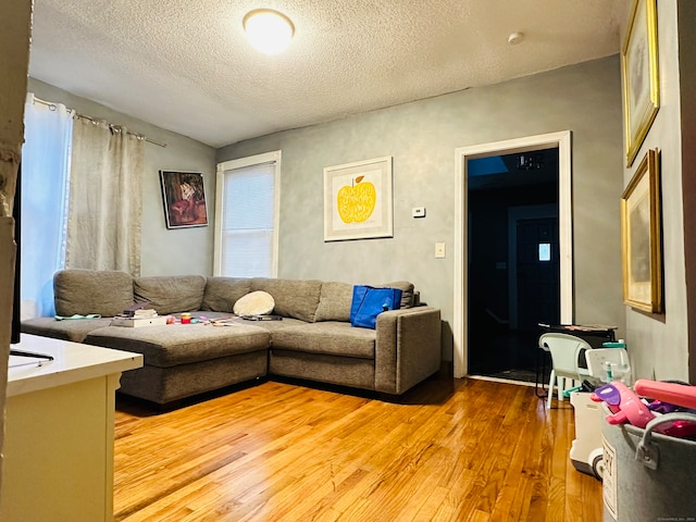 living room featuring hardwood / wood-style floors and a textured ceiling