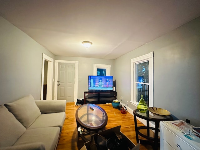 living room featuring hardwood / wood-style floors