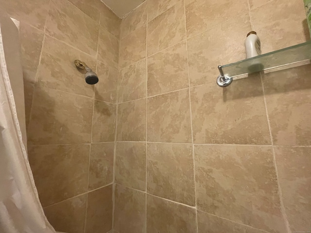 interior space featuring walk in shower