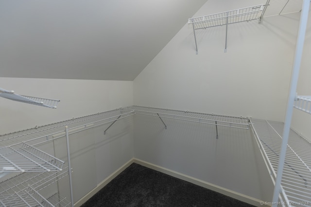 spacious closet featuring carpet floors and vaulted ceiling