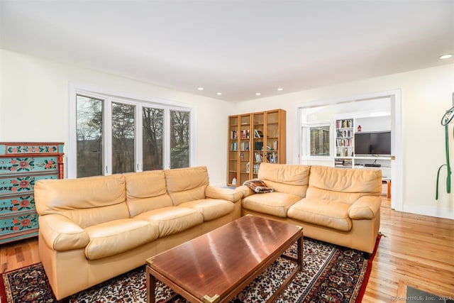 living room with light hardwood / wood-style floors