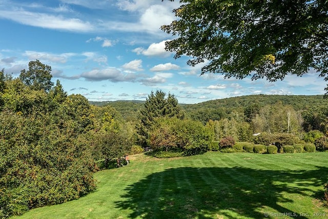 view of property's community featuring a lawn and a wooded view