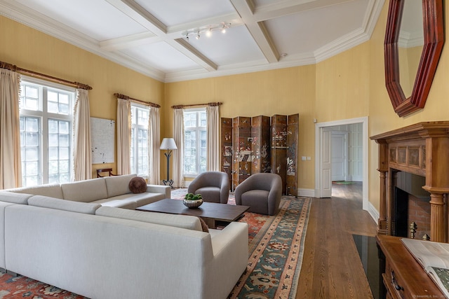 11 Ravenrock Rd, Roxbury, CT 06783 - living room featuring beam ceiling, coffered ceiling, a fireplace with flush hearth, dark wood finished floors, and plenty of natural light