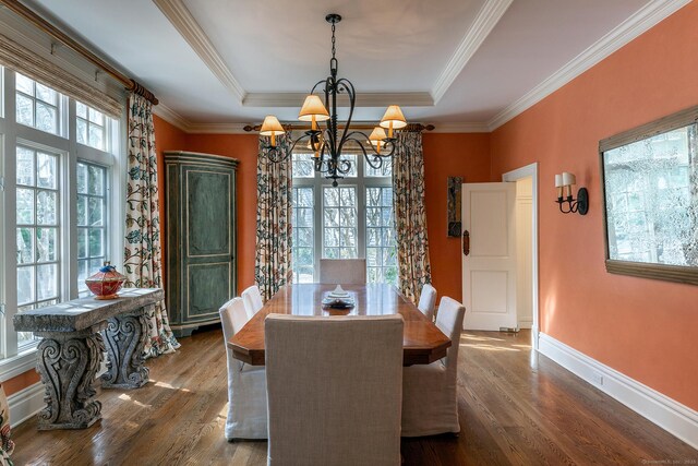 11 Ravenrock Rd, Roxbury, CT 06783 - dining space featuring a chandelier, dark wood finished floors, crown molding, baseboards, and a tray ceiling