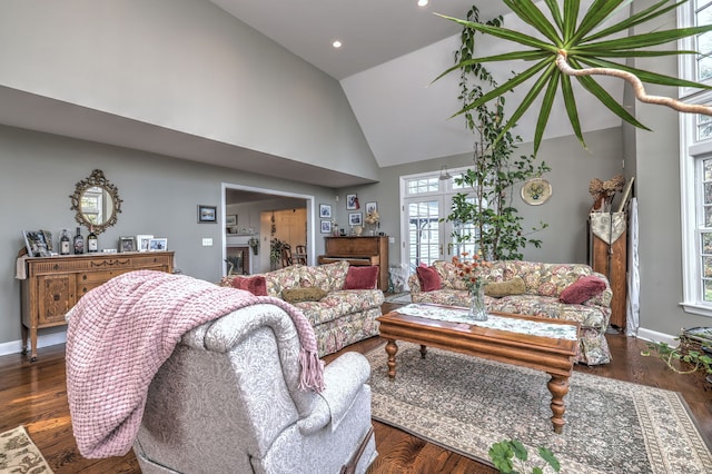 living room featuring dark hardwood / wood-style flooring and high vaulted ceiling