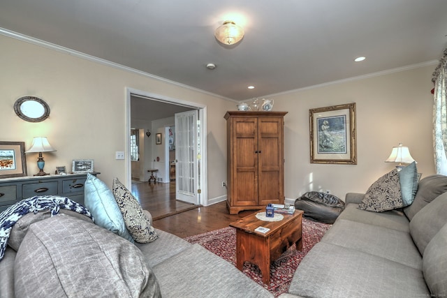 living room featuring crown molding and dark wood-type flooring