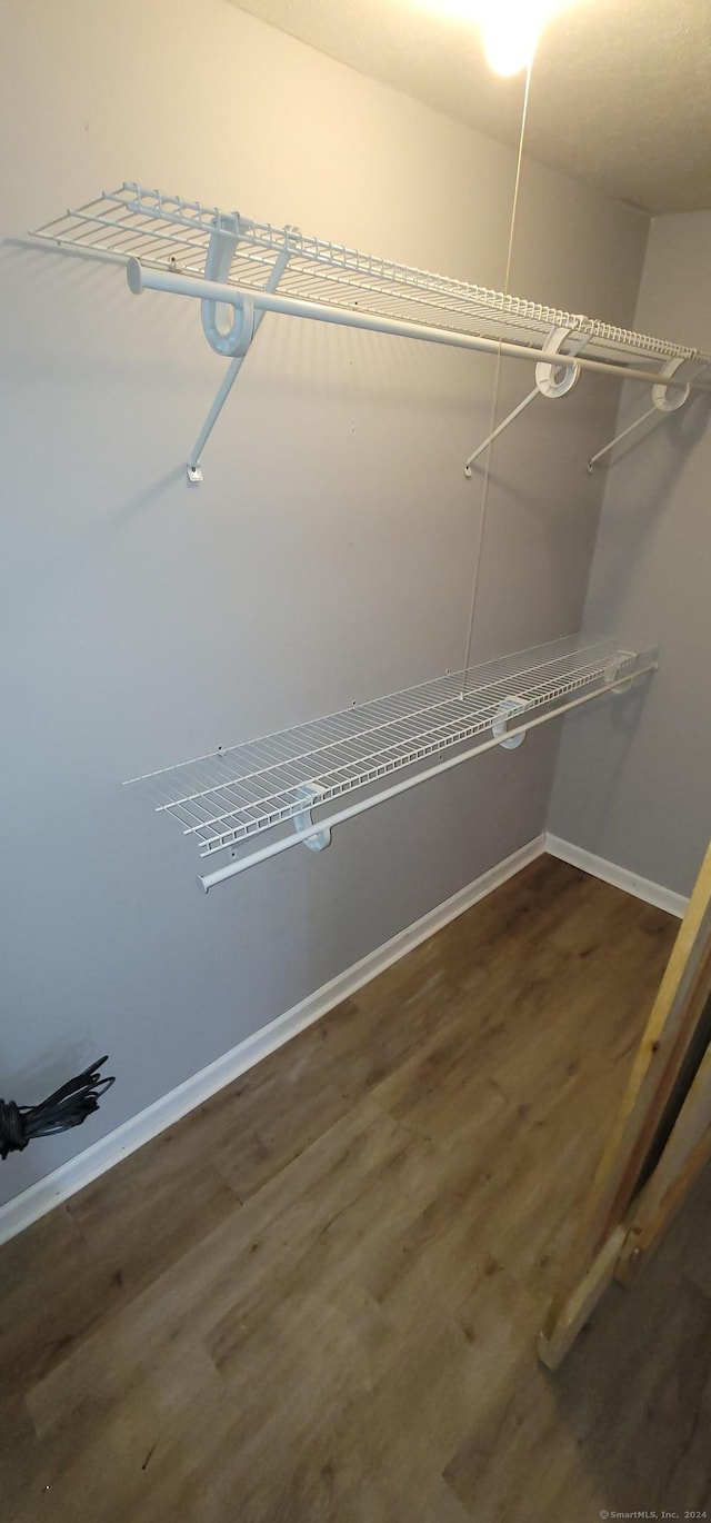 spacious closet featuring dark wood-type flooring