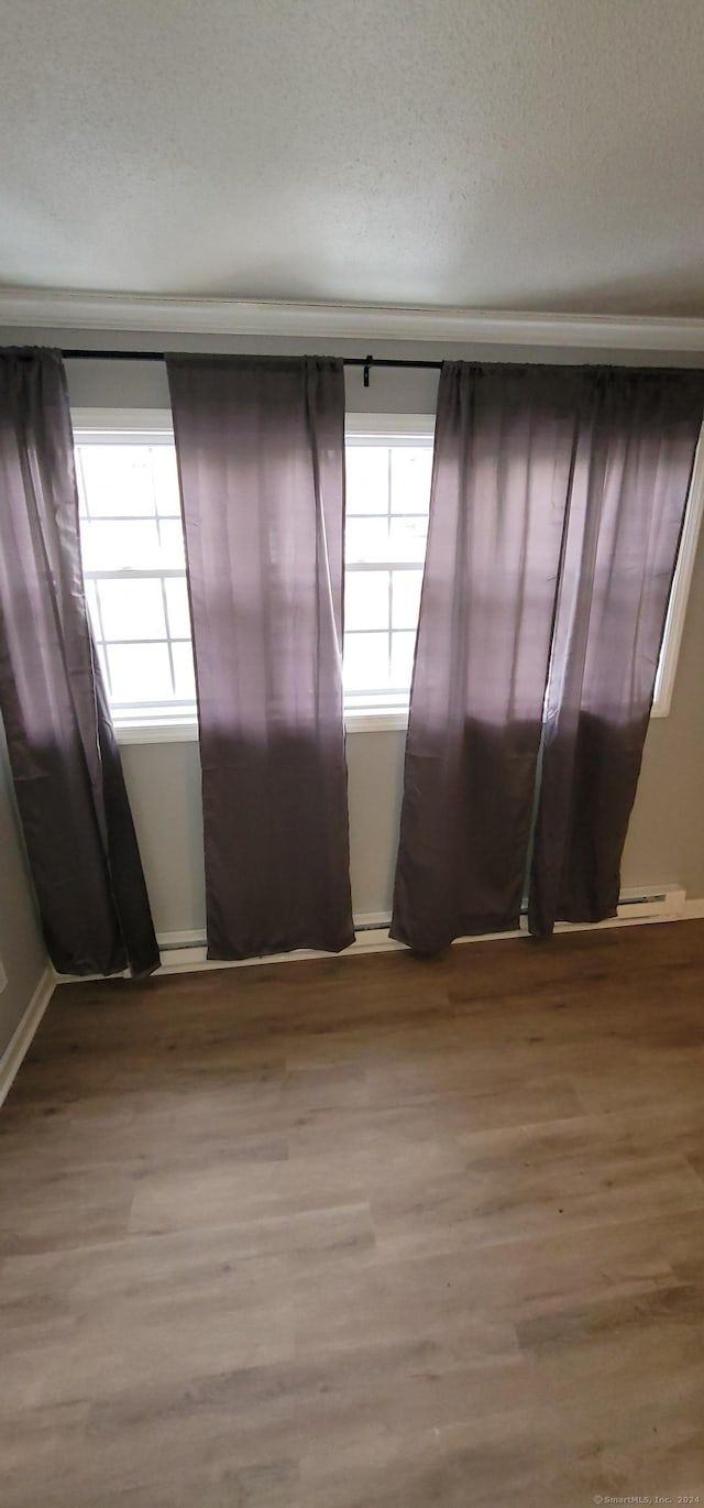 spare room with wood-type flooring, a textured ceiling, and a wealth of natural light