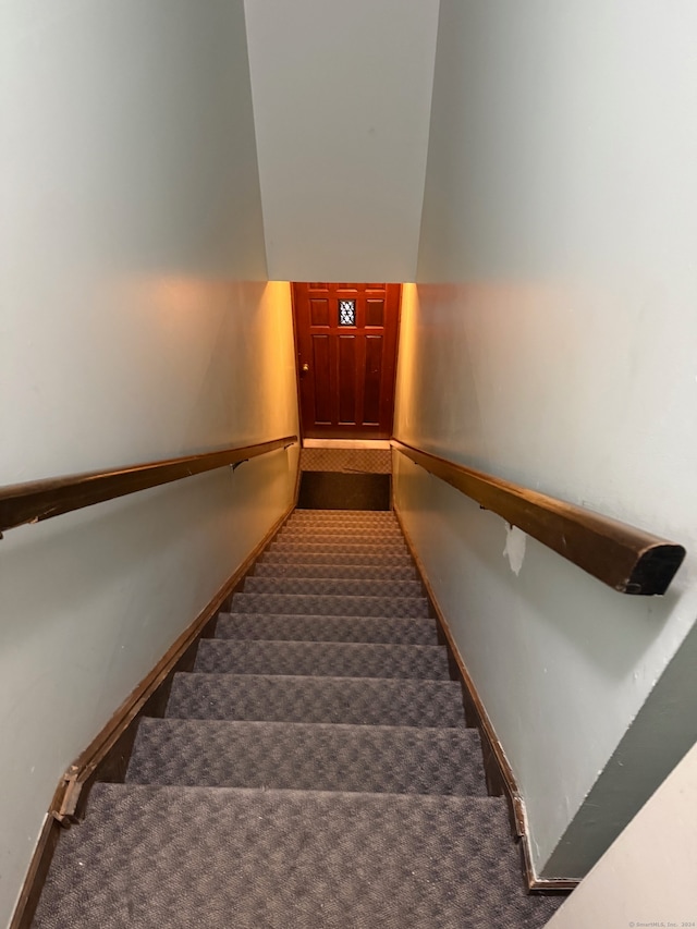 stairway featuring carpet floors