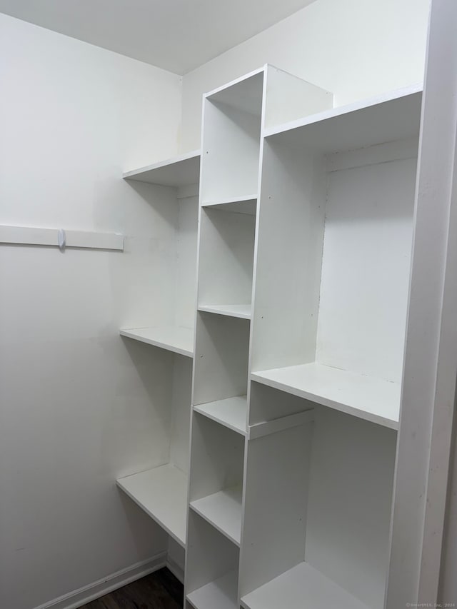 spacious closet featuring dark wood-type flooring