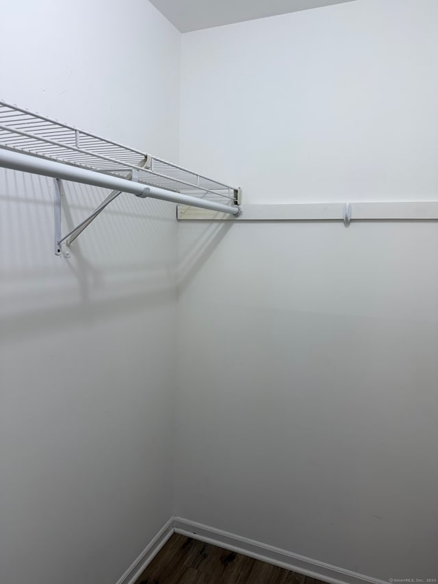 spacious closet featuring dark wood-type flooring