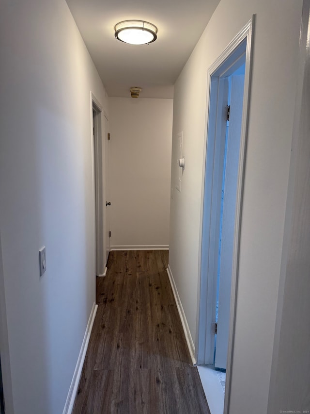 hallway featuring dark hardwood / wood-style flooring