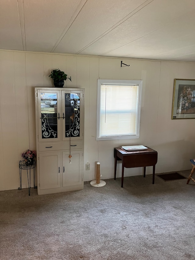 unfurnished room with a textured ceiling and light carpet