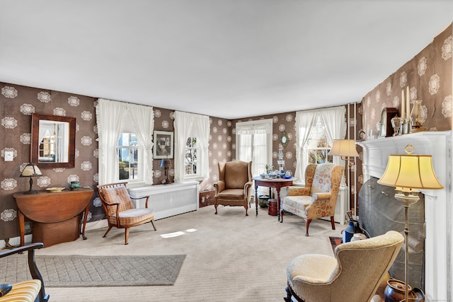 living area with carpet floors