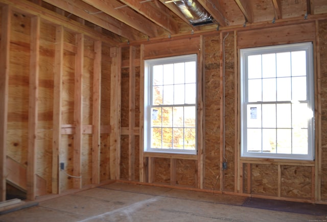 miscellaneous room with a wealth of natural light