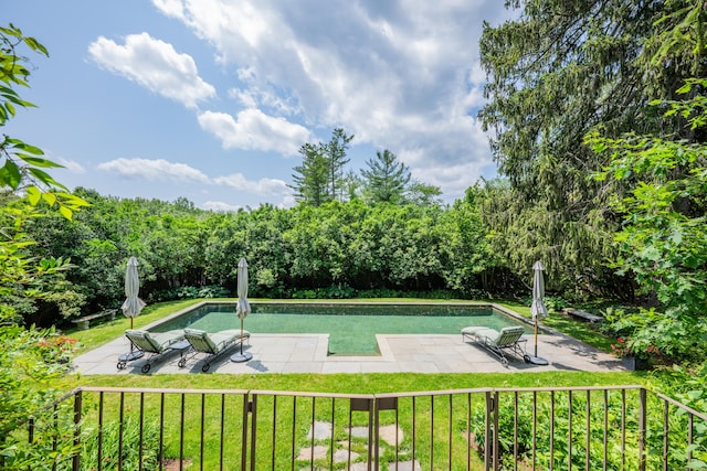 view of pool with a patio area and a yard