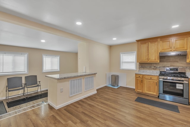 kitchen with light wood-type flooring, a wealth of natural light, decorative backsplash, and stainless steel range