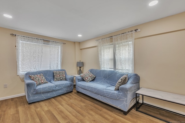 living room with wood-type flooring