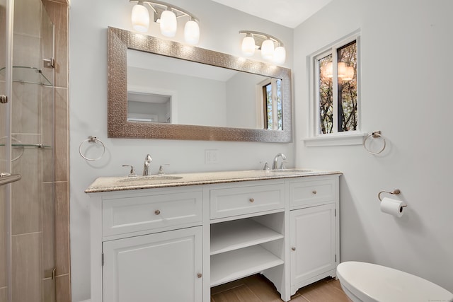 bathroom with wood-type flooring, vanity, and toilet