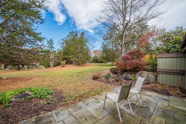 view of yard featuring a patio