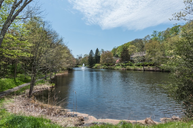 property view of water