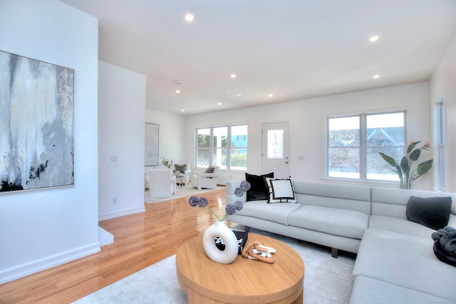 living room featuring light hardwood / wood-style flooring