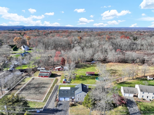 bird's eye view