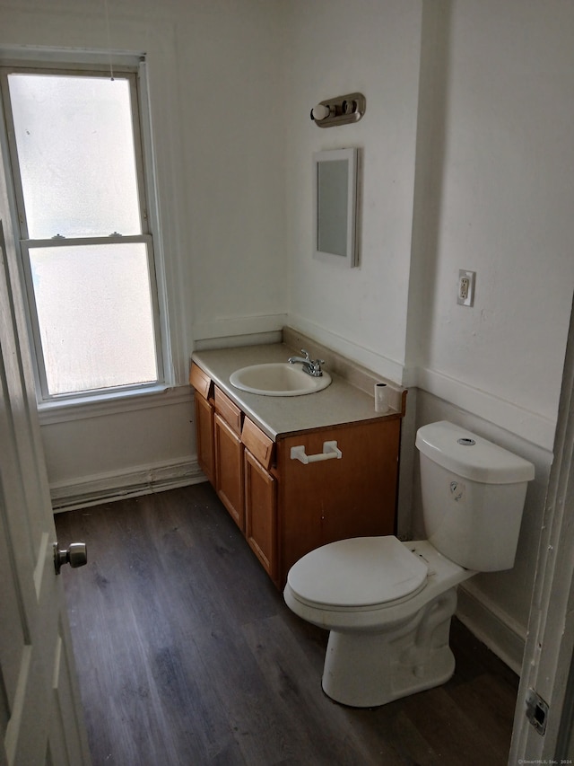 bathroom featuring toilet, vanity, wood-type flooring, and plenty of natural light