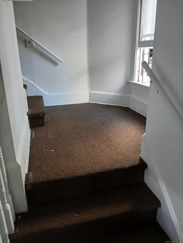 stairway featuring carpet flooring