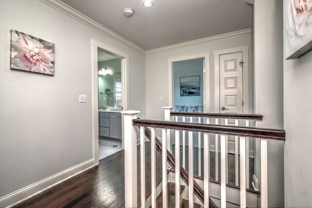 hall featuring crown molding and dark hardwood / wood-style flooring