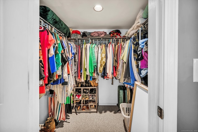 spacious closet featuring carpet flooring