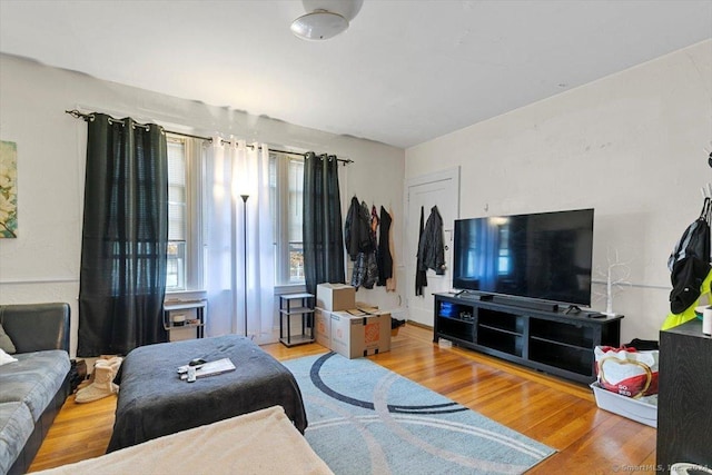 living room with hardwood / wood-style flooring