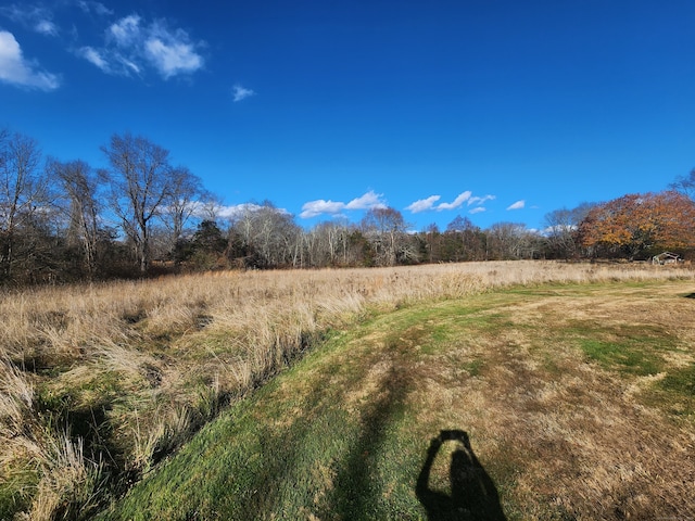 view of landscape featuring a rural view