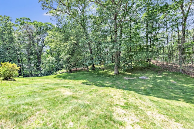 7 Topping Ln, Norwalk, CT 06854 - view of grassy yard