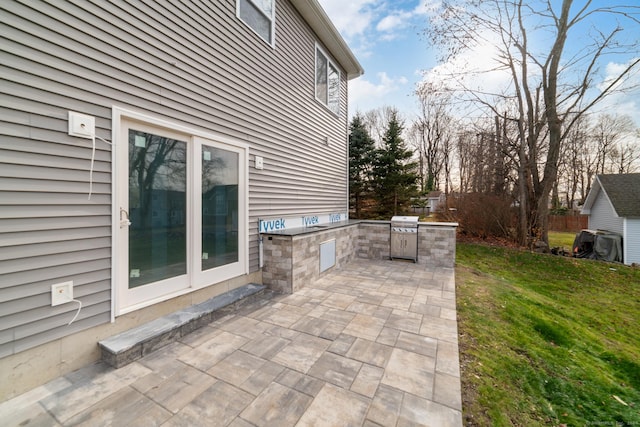 view of patio / terrace with an outdoor kitchen