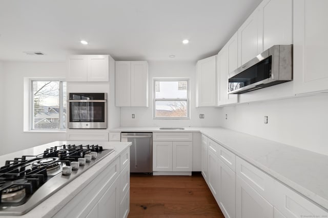 kitchen with plenty of natural light, dark hardwood / wood-style flooring, white cabinetry, and stainless steel appliances