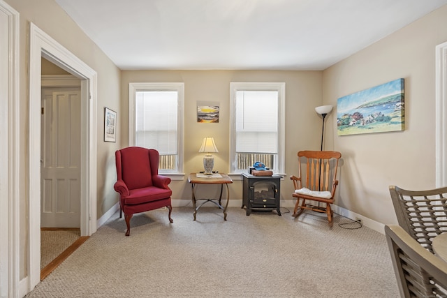 living area featuring carpet