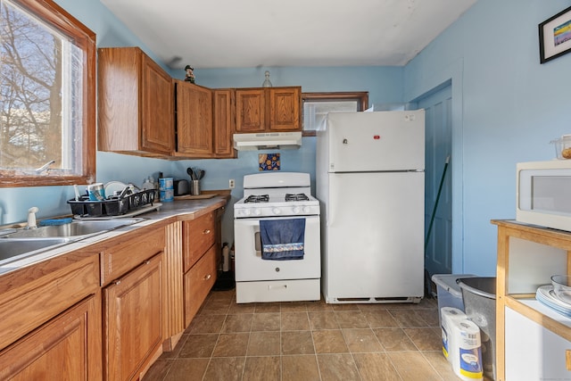 kitchen with white appliances and sink