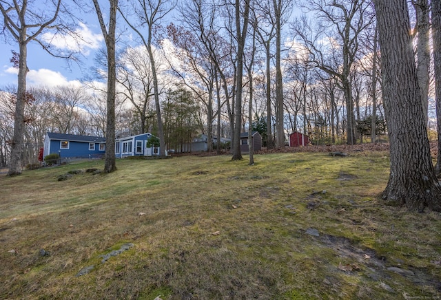 view of yard featuring a storage shed