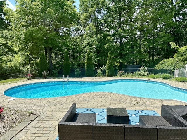 view of pool featuring a patio