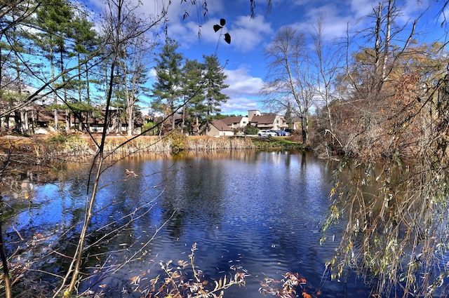 view of water feature