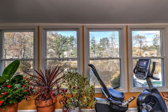 workout room featuring a wealth of natural light