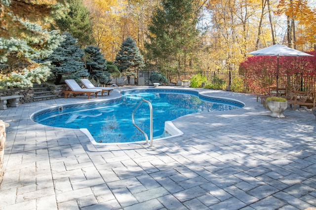 view of swimming pool featuring a patio area