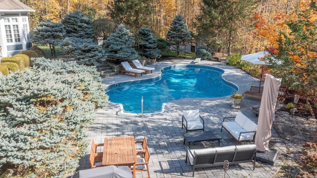 view of pool with a patio