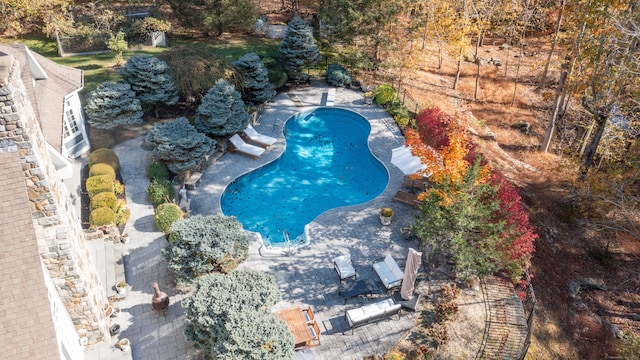 view of pool featuring a patio area